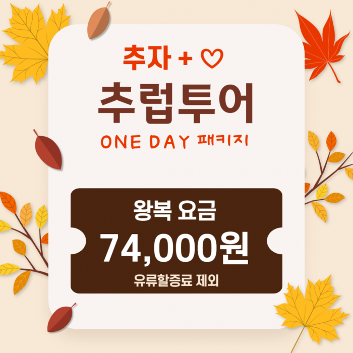 추자도로 추럽투어!