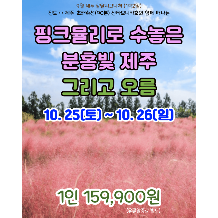 핑크뮬리로 수놓은 분홍빛 제주 그리고 오름