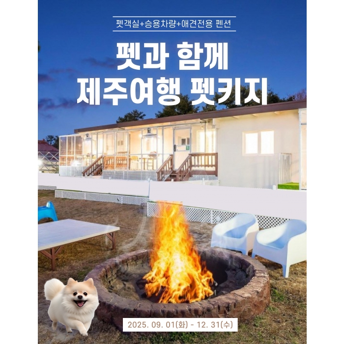 펫과 함께 제주여행 펫키지