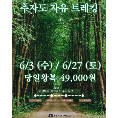 6월 추자도 자유 트레킹