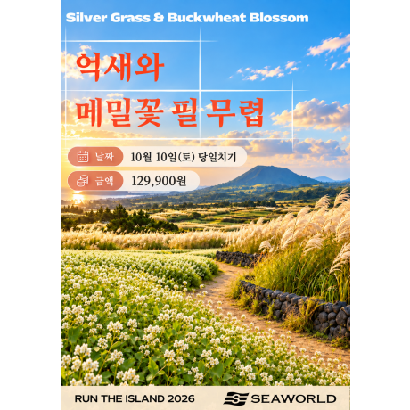 억새와 메밀꽃 필 무렵